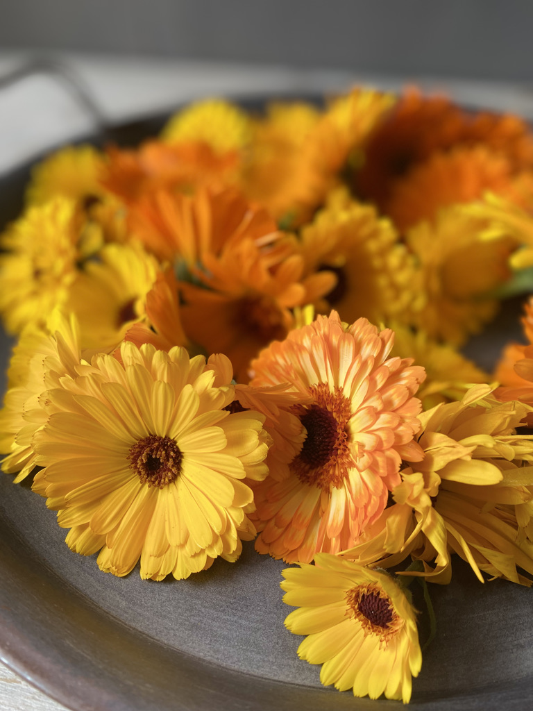 Ringelblumenblüten in gelb und orange