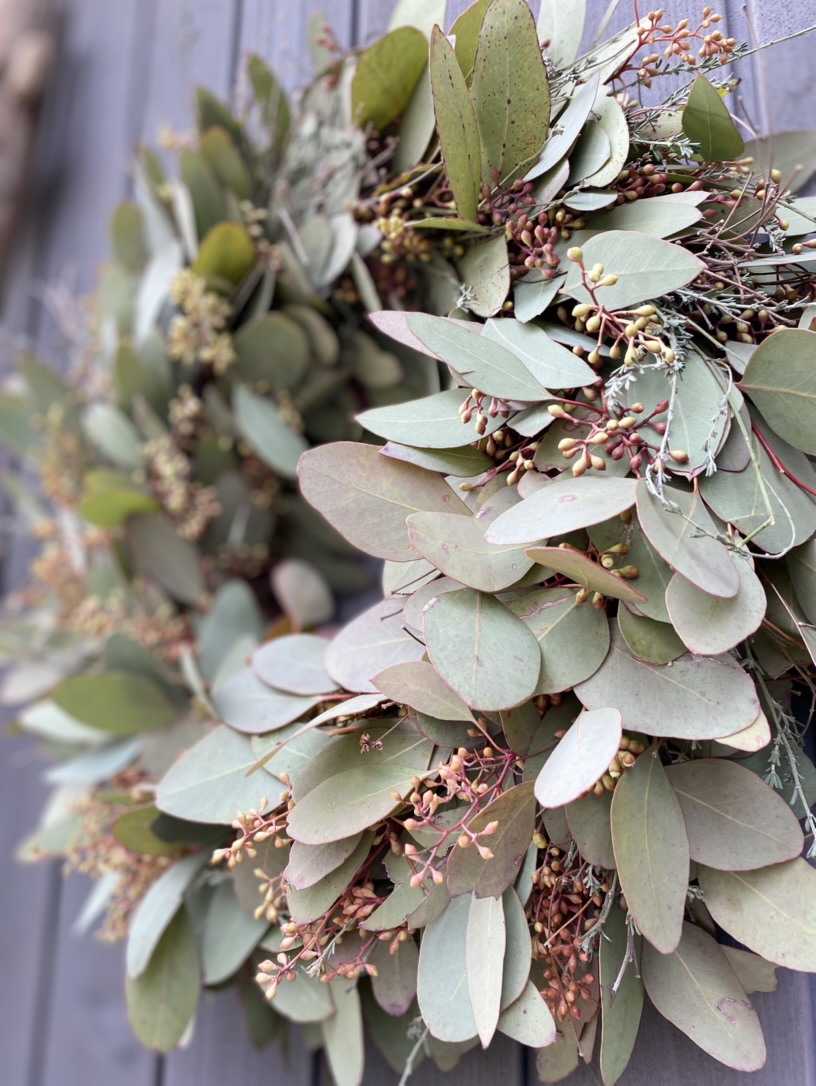 Eucalyptuskranz Eucalyptuskranz