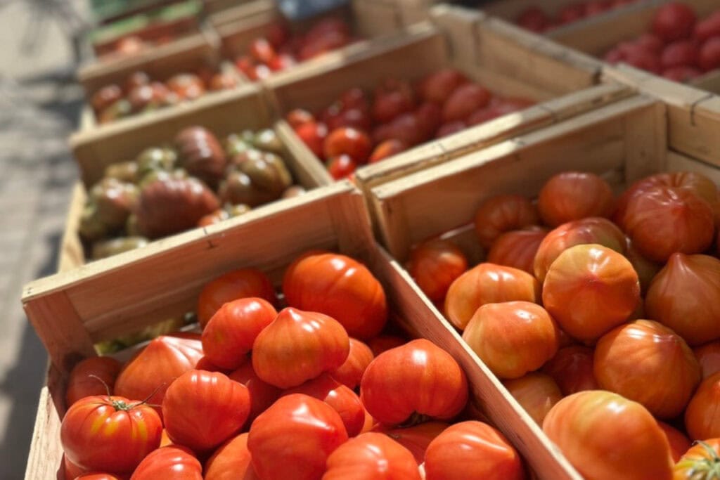 Frische Tomaten vom Markt