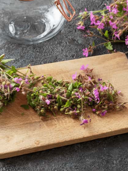 Ringelblumenblüten in gelb und orange